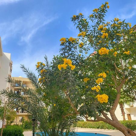 Apartments 1000 And 1 Night Redsealine 洪加達 外观 照片