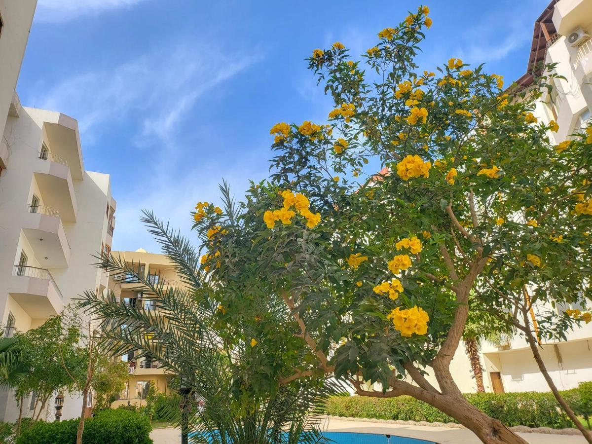 Apartments 1000 And 1 Night Redsealine 洪加達 外观 照片